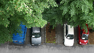 Unter Bumen parkende Autos von oben